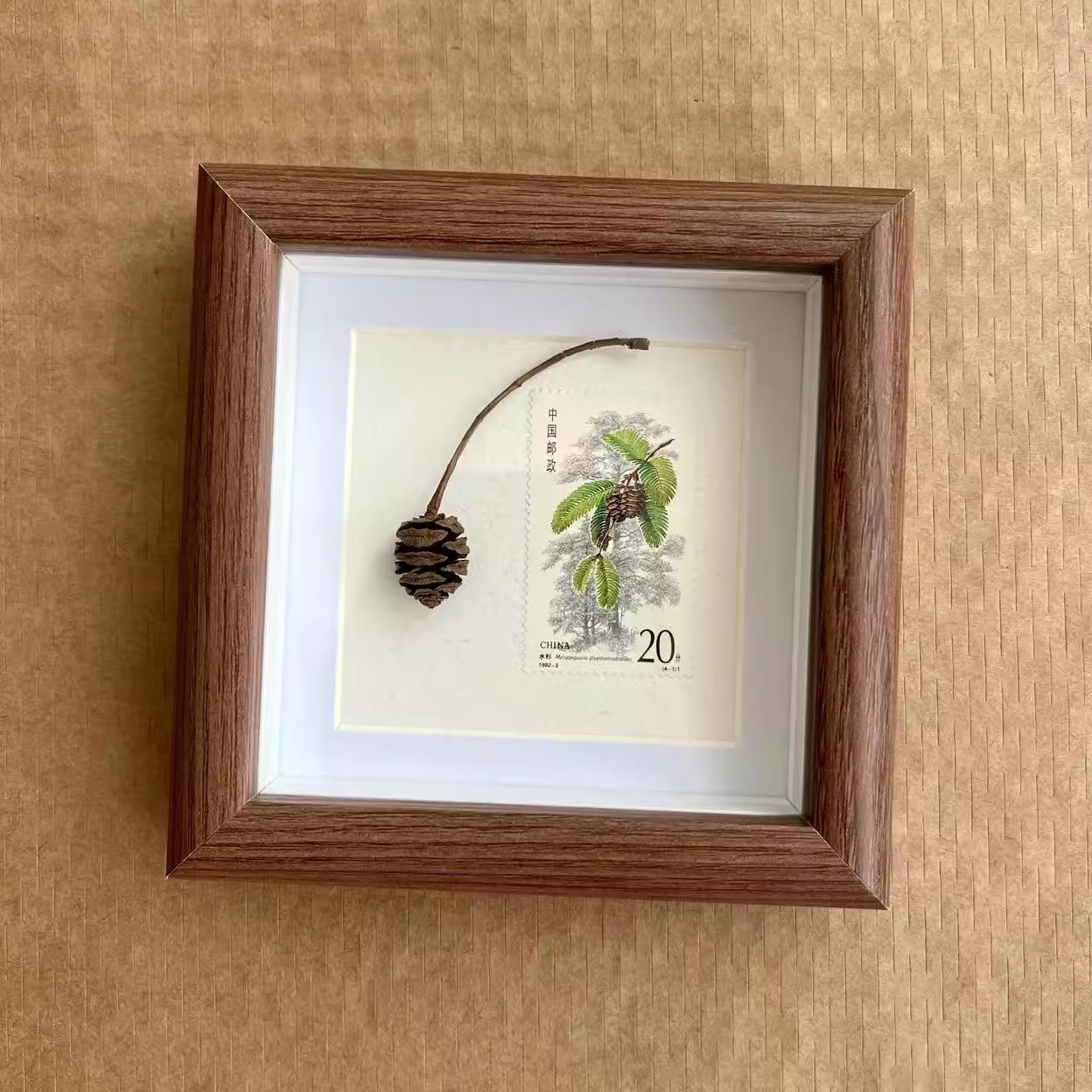 植物标本1992年邮票纪念版