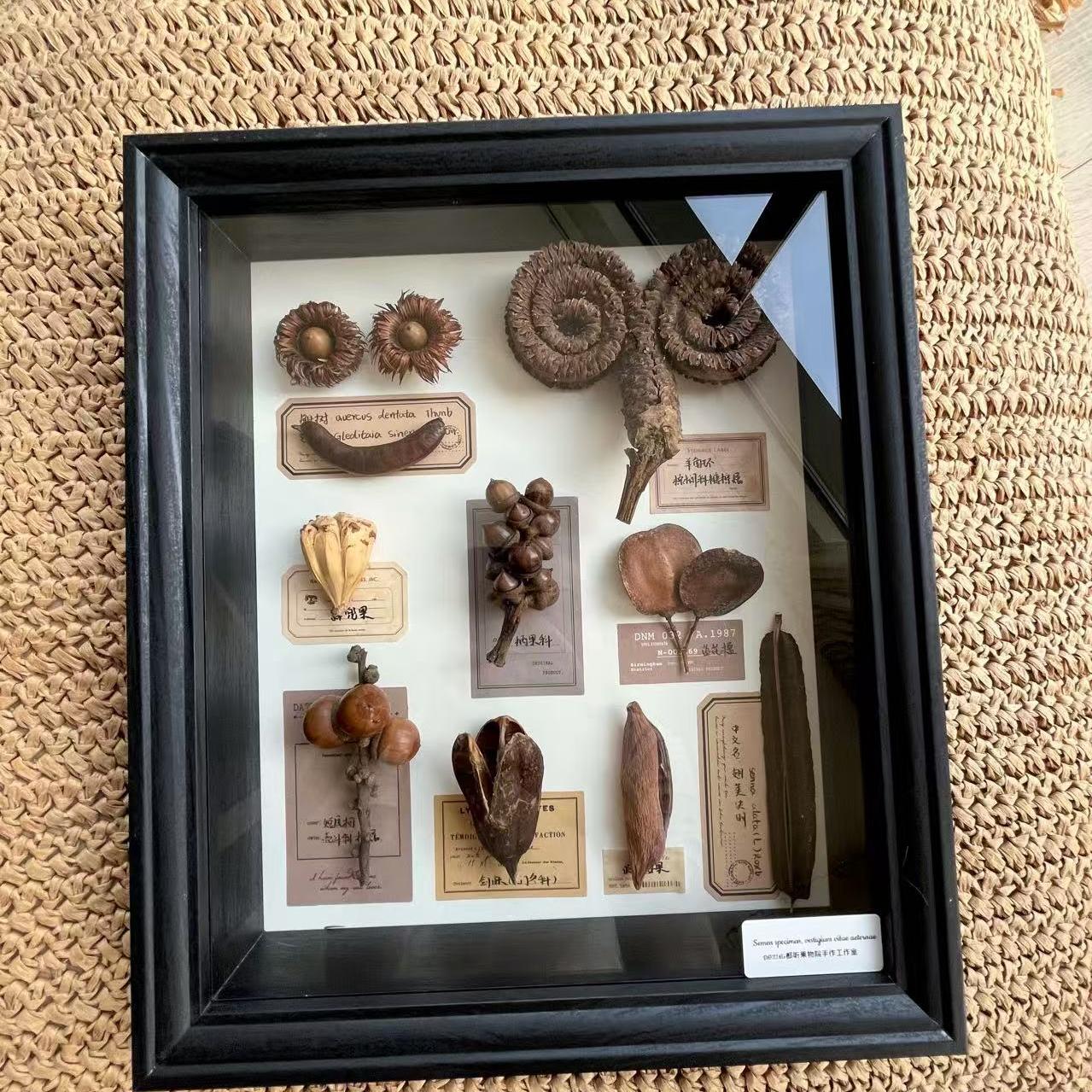 小众礼物装饰画植物标本手作