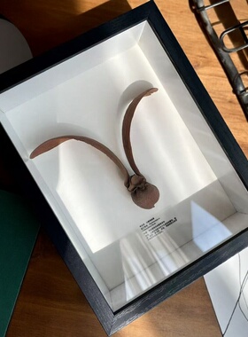 植物标本相框画装饰画创意礼物送朋友闺蜜教师节百搭小众生日礼物