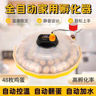 小鸡孵化器全自动鸡孵化器