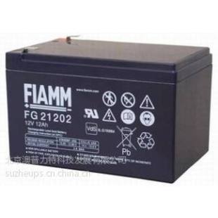 精密仪器专用 正品 12V12Ah原装 FIAMM非凡蓄电池FG21201