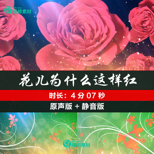 歌曲 花儿为什么这样红 大型晚会舞台 led背景高清视频 VJ素材