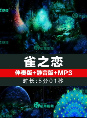 雀之恋 孔雀傣族舞蹈表演民族歌舞晚会LED大屏幕背景视频素材