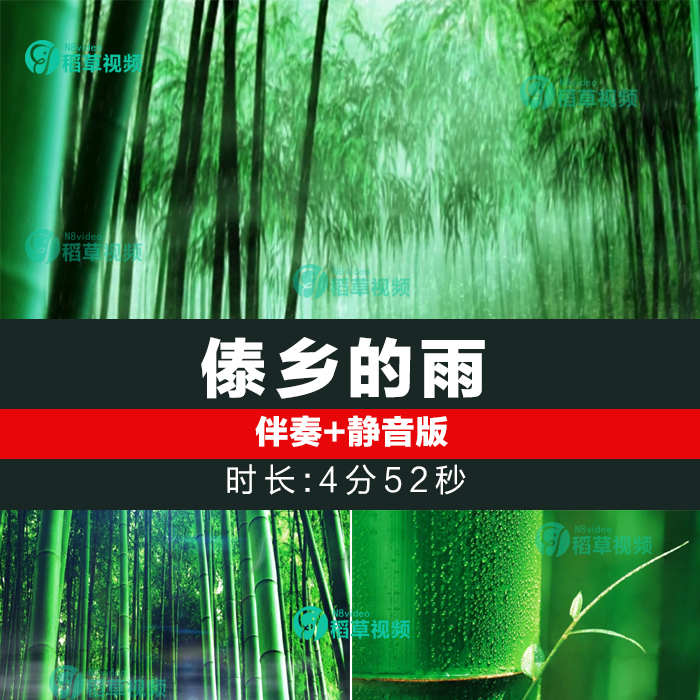 傣乡的雨 唯美少数民族傣族舞蹈绿色竹林LED屏幕舞台背景视频素材