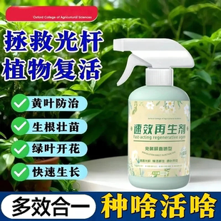 速效再生剂绿植花卉复活液植物解决盆栽光杆发黄掉叶园艺肥料植界