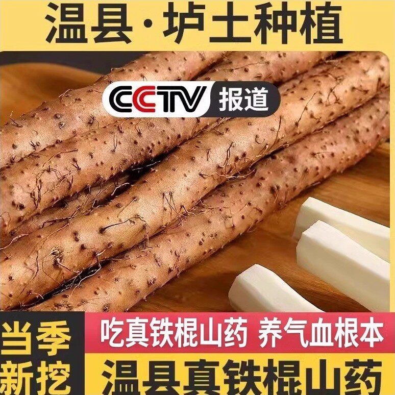 温县铁棍山药河南焦作温县铁棍山药淮山药正宗怀山药特产新鲜