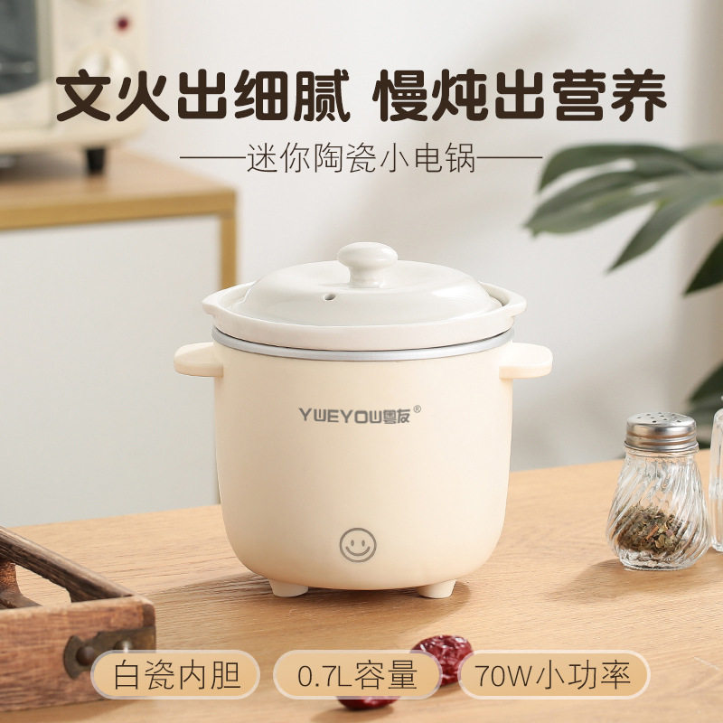 迷你小型电炖锅陶瓷炖锅煮粥煲汤婴儿辅食锅家用宿舍电炖锅一人
