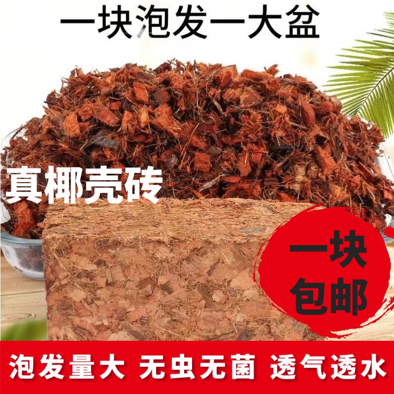 进口优质粗椰壳杀虫脱盐