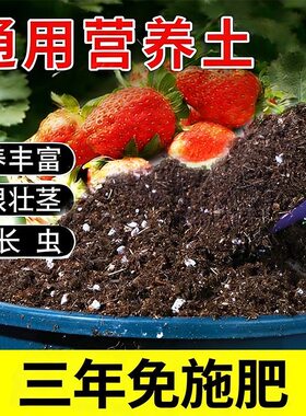 种菜专用营养土香葱营养土种菜土有机蔬菜种植土通用种葱种姜种蒜