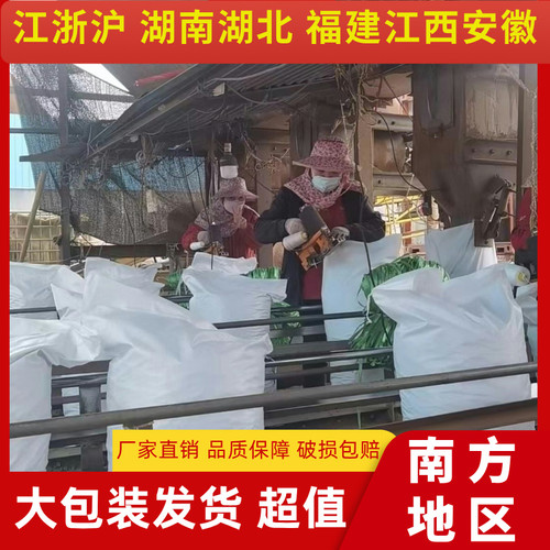 【南方地区特惠】轻质水培铺面石陶土透气多肉垫底花卉园艺陶粒