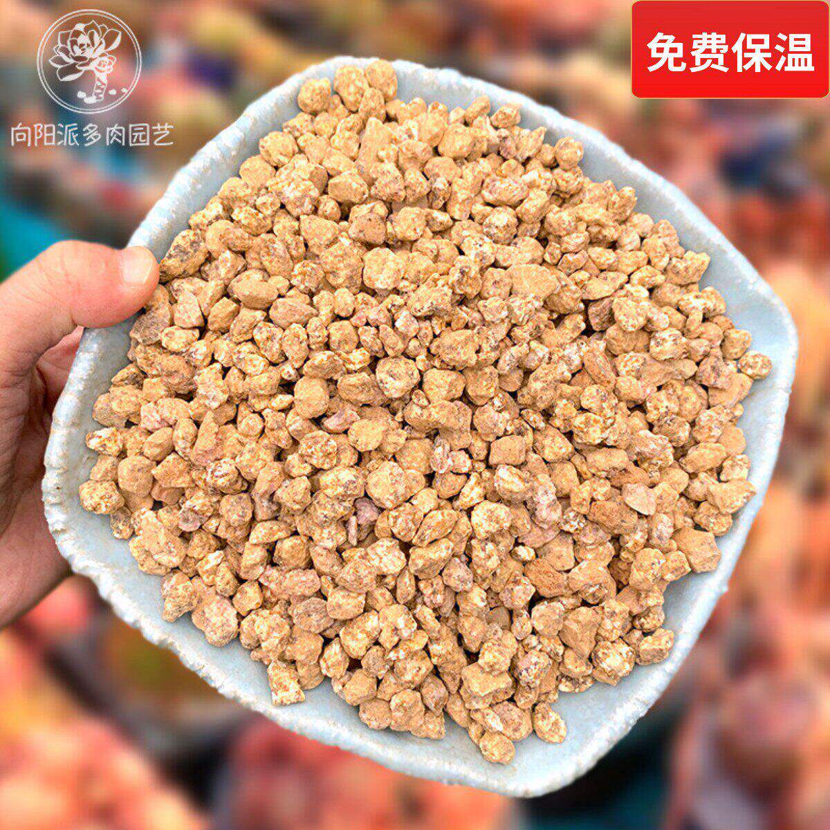 稀有大颗粒黄金软麦饭石多肉植物铺面石控型控养植料向阳派园艺