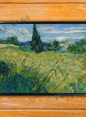 绿色麦田与丝柏树 Green Wheat Field 捷克布拉格国家画廊 梵高画