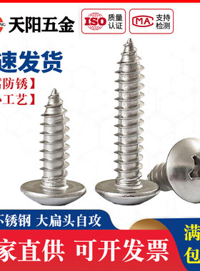 M3M4M5M6mm 304不锈钢大扁头自攻螺丝钉 蘑菇头*16-20-25-35-60