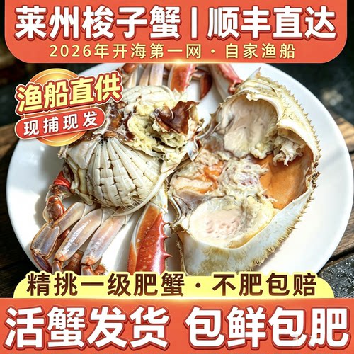 莱州湾梭子蟹活鲜飞蟹白蟹顺丰