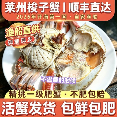 活鲜莱州湾梭子蟹飞蟹顺丰
