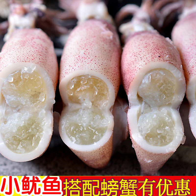 籽乌海兔满籽小墨鱼仔海兔子新鲜活笔管鱼乌贼海鲜墨斗鱼烙饼章鱼
