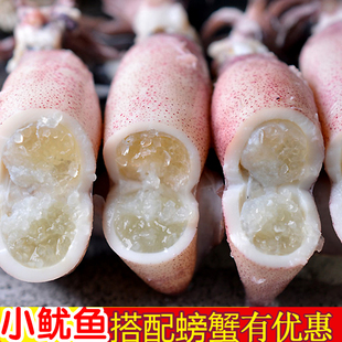 籽乌海兔满籽小墨鱼仔海兔子新鲜活笔管鱼乌贼海鲜墨斗鱼烙饼章鱼