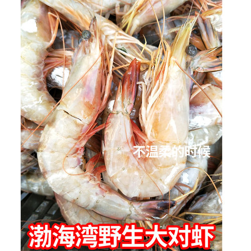 海捕野生大明虾新鲜对虾鲜活大虾特大海虾草虾老虎虾大对虾9-10头