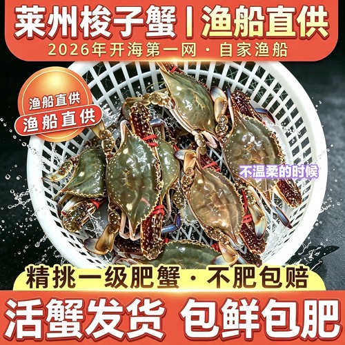 梭子蟹莱州特大飞蟹顺丰次日达