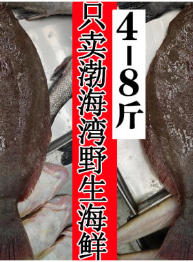鸦片鱼 新鲜牙片鱼比目鱼深海鲽鱼当日捕捞海捕鸦3-10斤 满包邮