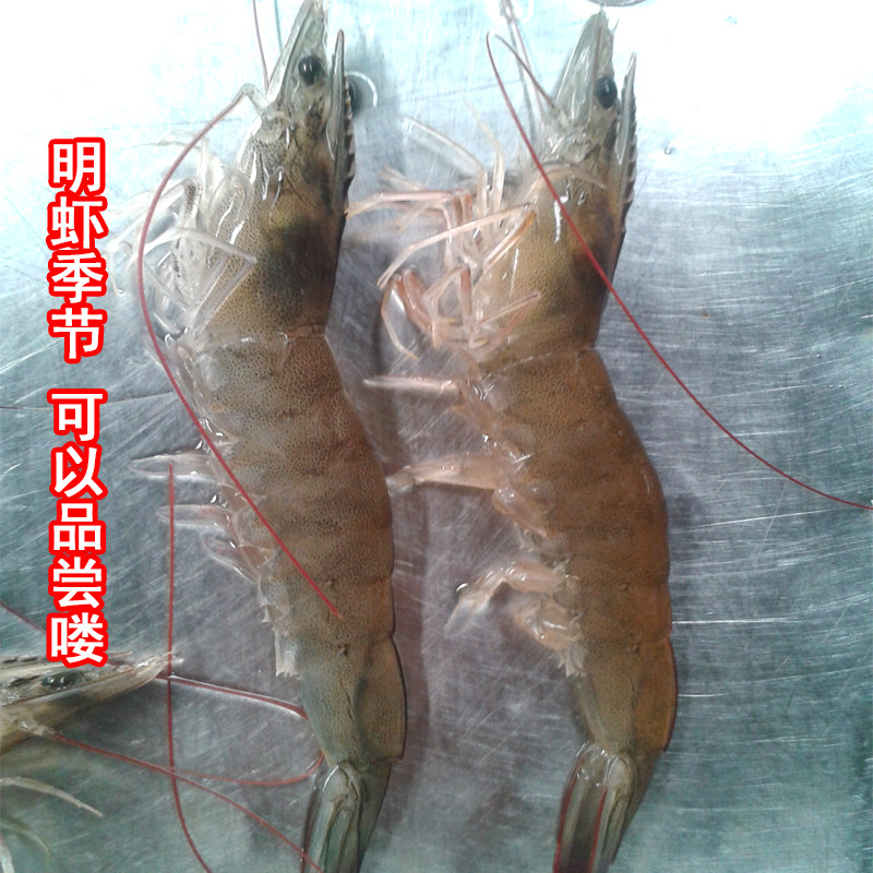 海捕大虾烟台莱州新鲜鲜活虾大海虾大对虾鲜活明虾鲜活超大海虾
