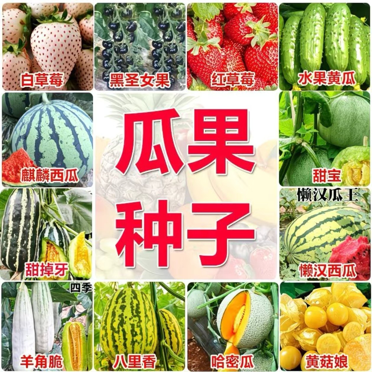 瓜果豆类种子大全四季可播简单易种蔬菜种籽黄瓜丝瓜南瓜架豆豆角