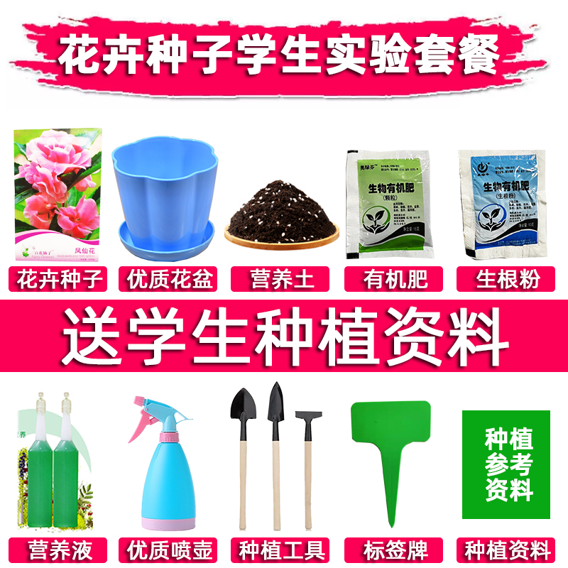花种子小学生种植套餐观察实验植物种子套餐满天星向日葵玫瑰盆栽