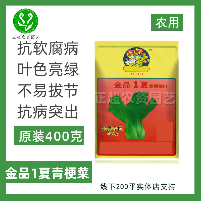 金品1夏青梗菜种籽青菜种子种孑400克袋装农用盆栽耐热湿夏季适播