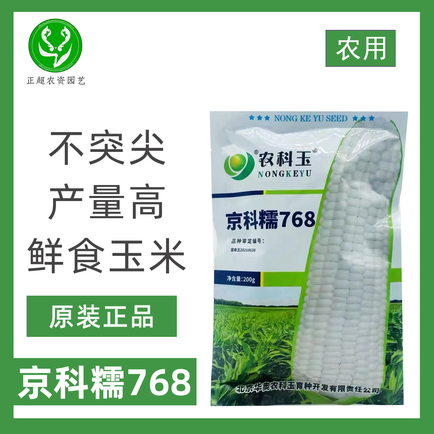 京科糯768白糯玉米种子不突尖大穗高产非转基因审定白糯玉米种子