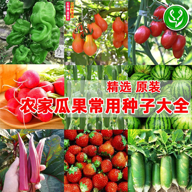 农家瓜果常用种子集合大全萝卜番茄草莓西瓜辣椒秋葵阳台盆栽庭院