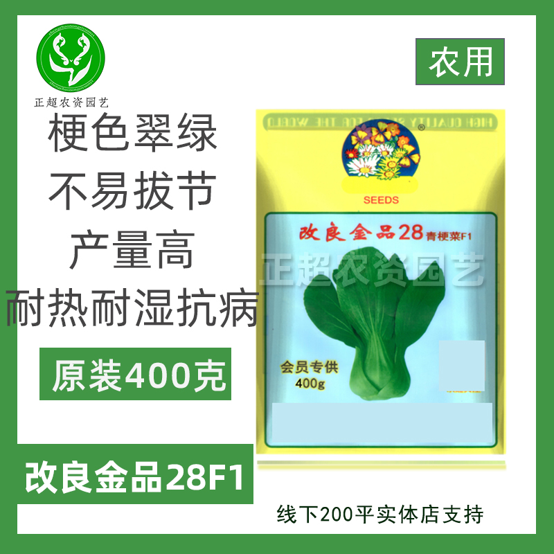 改良金品28青梗菜种籽耐热高产
