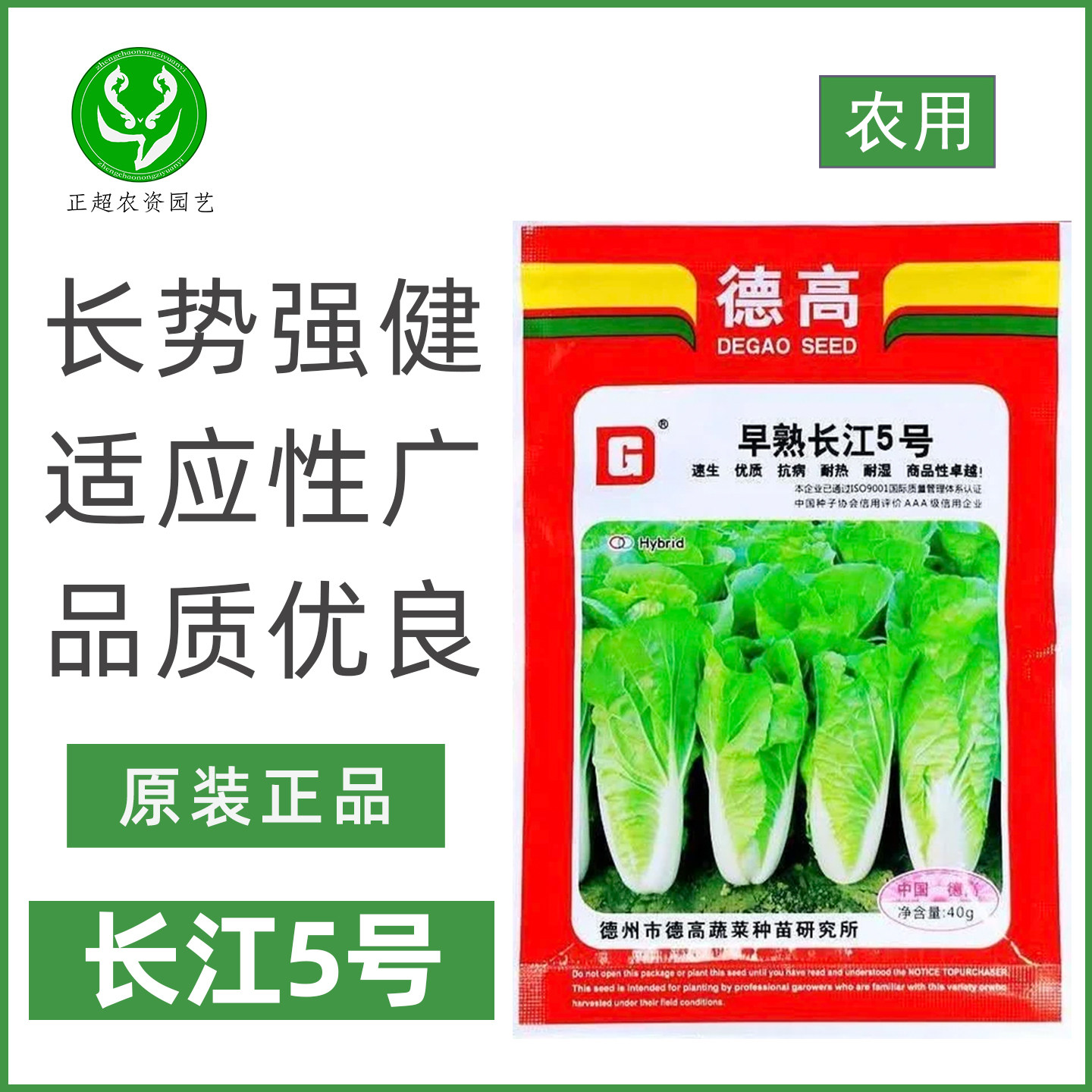 德高长江5号快菜种子山东种子早熟春秋高产优质白菜青菜蔬菜种子