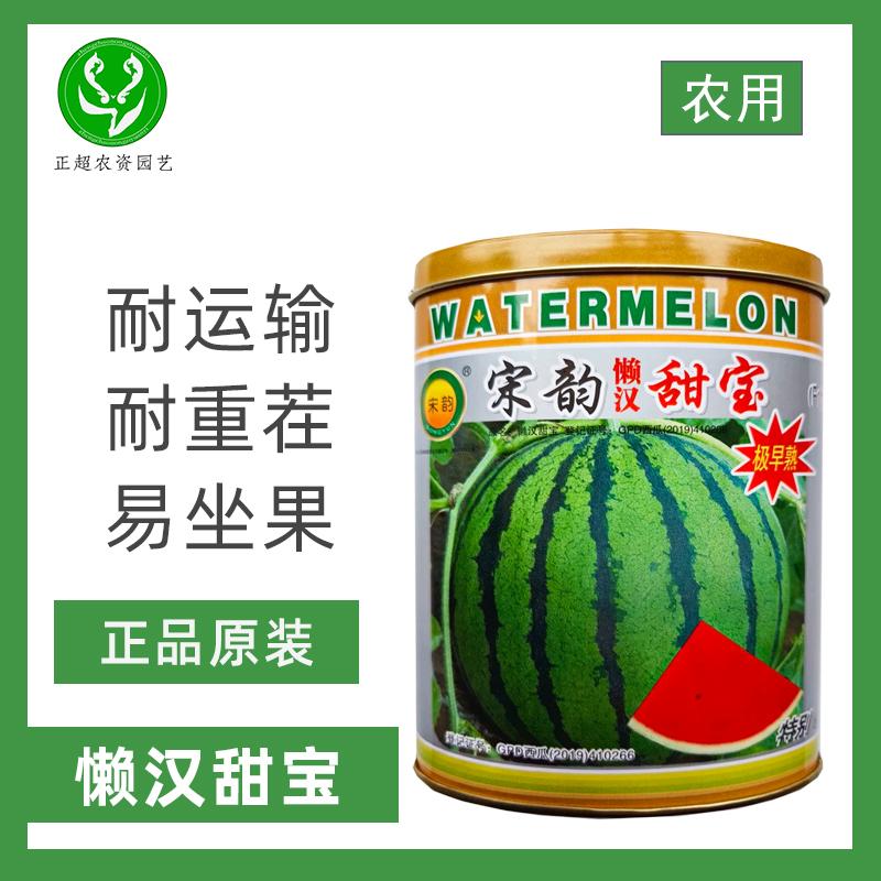 早熟不裂果耐运输高产西瓜种子