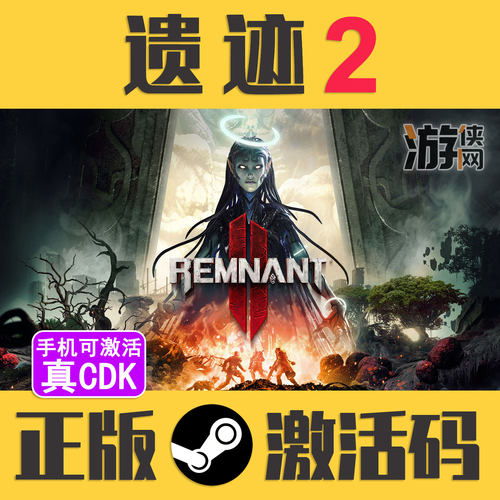 正版Steam遗迹2手机可激活CDK