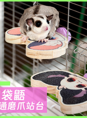 崎亿宫|蜜袋鼯磨爪跳台玩具彩色站杆攀爬站点踏板仓鼠蜜袋鼬用品
