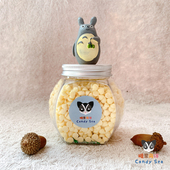 龙猫松鼠蜜袋鼯花枝鼠黑尾土拨鼠零食奶酪粒泰国进口酸奶奶酪零食