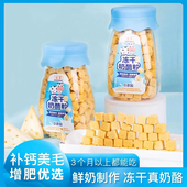 刺猬金丝熊奶酪 蜜袋鼯松鼠仓鼠补钙零食 互动奖励 冻干奶酪粒