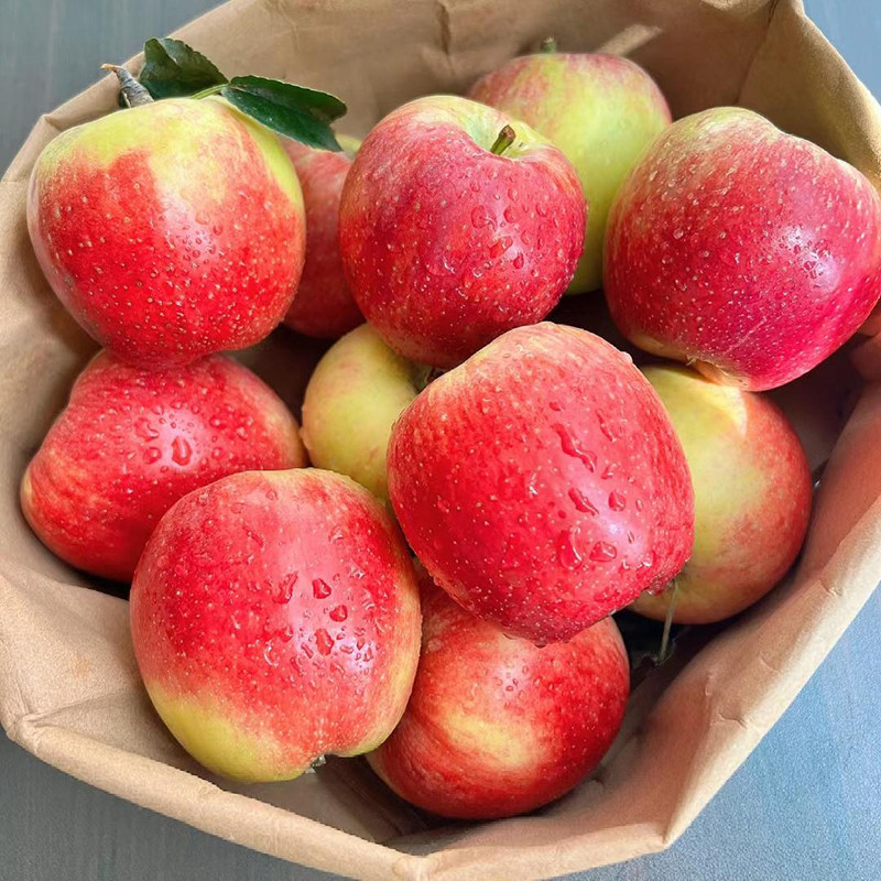 山东鲁丽苹果新鲜水果当季整箱小樱桃丑苹果脆甜孕妇非烟台冰糖心