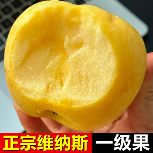 山东维纳斯黄金苹果新鲜水果当季整箱现摘脆甜奶油富士糖心丑苹果