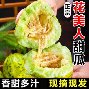 花美人甜瓜八里香香瓜甜瓜新鲜水果整箱小瓜果农自种现摘现发脆甜