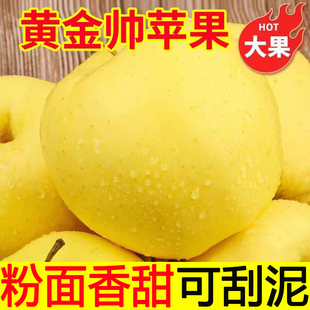 烟台黄元帅苹果5斤粉面沙新鲜水果黄香蕉苹果老人孕妇黄金帅刮泥