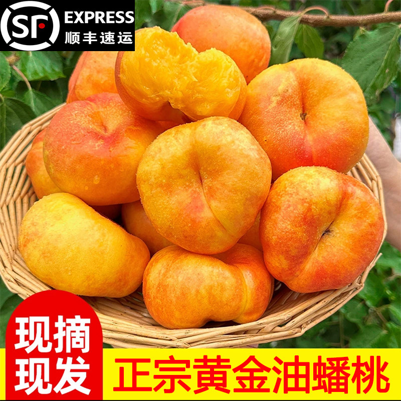 黄金油蟠桃新鲜水果当季整箱山东蒙阴水果孕妇脆桃彩虹油蟠桃扁桃