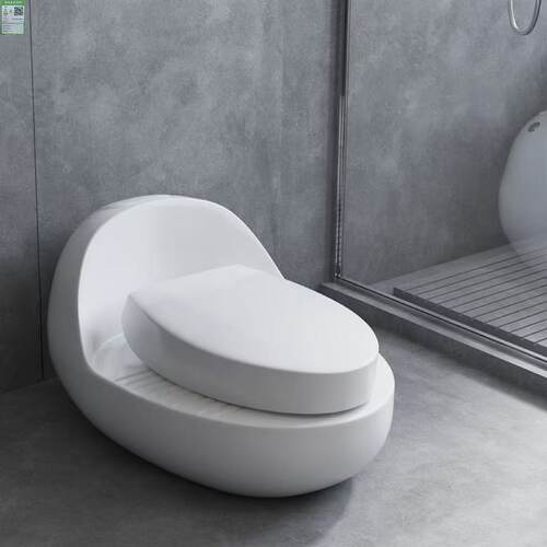 潮州蹲坐两用马桶一体家用坐便器卫生间直冲式防臭防滑蹲坑蹲便器