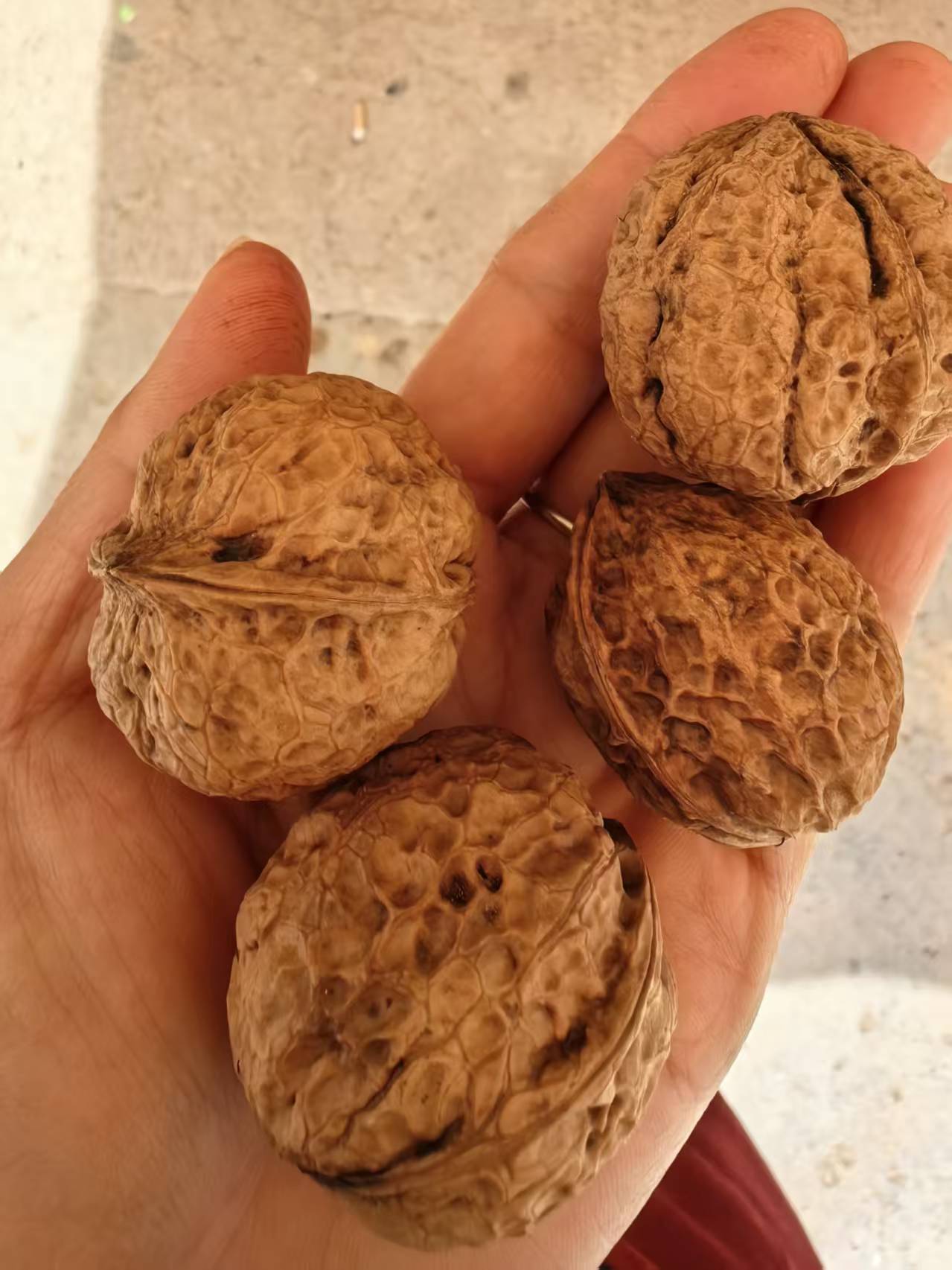 云南新鲜干核桃2025年新货干核桃薄皮核桃