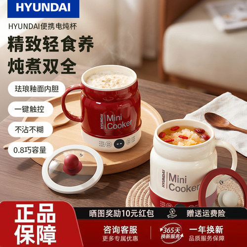 多功能养生电热烧水杯