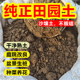纯正田园土种菜专用土家用阳台养花种菜盆栽种植土沙壤土种果树土