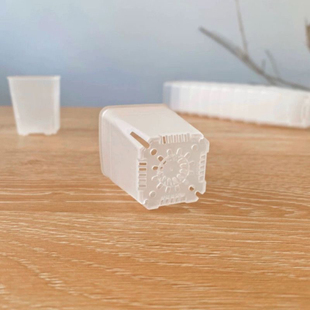 枝干番杏盆透明加厚多肉花盆塑料小口径肉锥生石花种植播种育苗