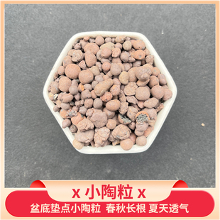 精选小颗陶粒枝干番杏多肉小盆栽专用盆底垫材透气好发根陶土粒