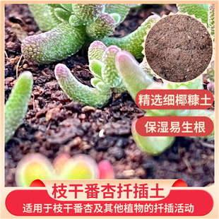 枝干番杏扦插土-枝干多肉专用扦插土营养土保湿透气易发根