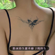 性感蝴蝶纹身贴女防水持久小腹后腰后背高级不反光防搓洗草本果汁